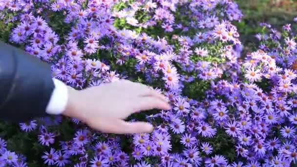 가 정원 꽃 — 비디오