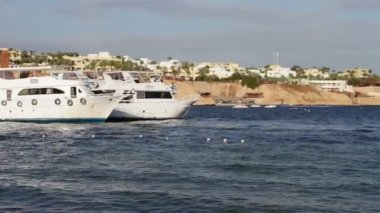 Sharm el-Sheikh, Sharks Bay, Mısır çok güzel yat beyaz
