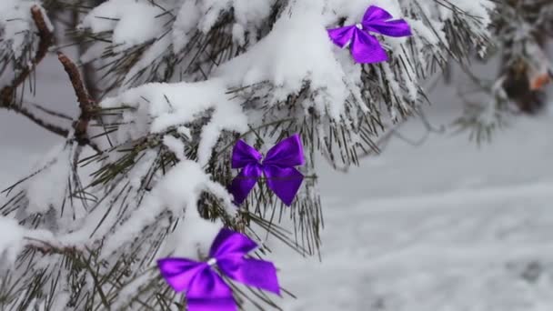 Decorated snowy forest with tree lilac ribbons — Stock Video