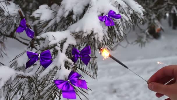 Árvore de floresta nevada decorada com fitas lilás e fogo de Bengala em uma mão feminina — Vídeo de Stock