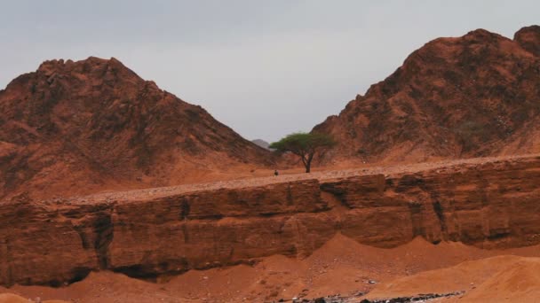 シナイ山の赤の砂漠の風景 — ストック動画