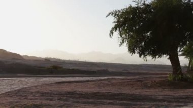 Arabalar güzel yoldan geçmek