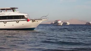 Sharm el-Sheikh, Sharks Bay, Mısır - 30 Kasım 2016: sahilde birçok güzel beyaz yat