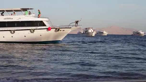 Sharm el-Sheikh, Sharks Bay, Egypten - 30 November 2016: många vackra vita yacht på stranden — Stockvideo