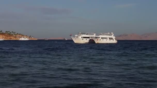 Sharm el-Sheikh, Sharks Bay, Egipto muchos yate blanco hermoso — Vídeo de stock