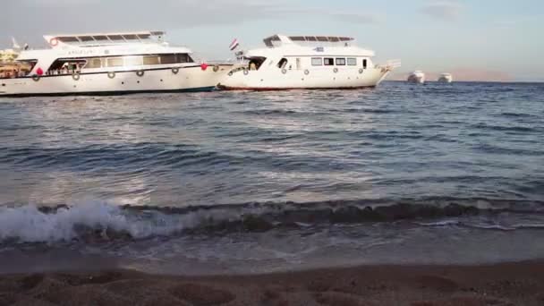 Sharm el-Sheikh, Sharks Bay, Egito - 30 de novembro de 2016: muitos belo iate branco na costa — Vídeo de Stock