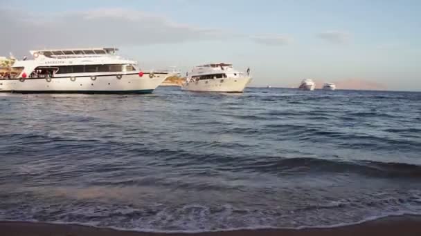Шарм-эль-Шейх, Шаркс-Бей, Египет - 30 ноября 2016 года: много красивой белой яхты на берегу — стоковое видео