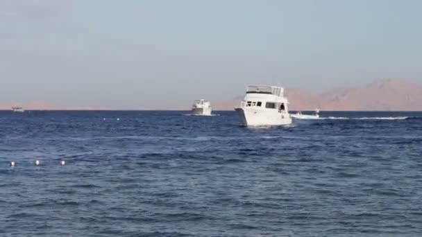 Sharm el-Sheikh, Sharks Bay, Egypt mnoho krásné bílé jachty — Stock video