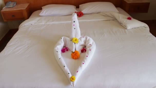 Romantic Hotel Room with Swan Towels — Stock Video