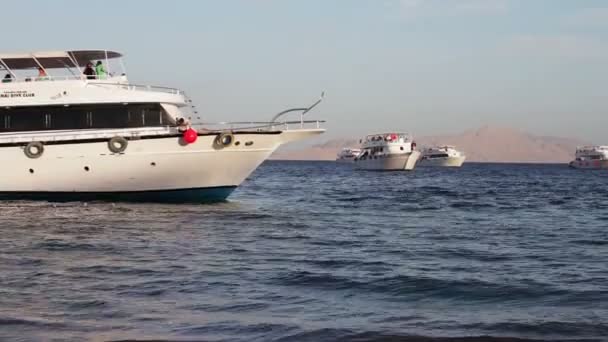 Sharm el-Sheikh, Sharks Bay, Egypt - 30 listopadu 2016: mnoho krásné bílé jachty na pobřeží — Stock video