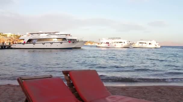 Sharm el-Sheikh, Sharks Bay, Egipto - 30 de noviembre de 2016: sillas de playa en la playa, en el fondo de los yates de vela — Vídeos de Stock