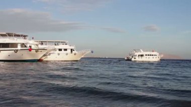 Sharm el-Sheikh, Sharks Bay, Mısır - 30 Kasım 2016: sahilde birçok güzel beyaz yat