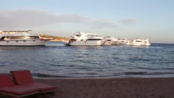 Sharm el-Sheikh, Sharks Bay, Egypte - 30 November 2016: strand stoelen aan de kust, op de achtergrond van de zeiljachten — Stockvideo