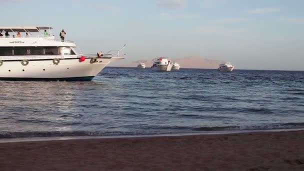 Sharm el-Sheikh, Sharks Bay, Egyiptom - November 30-án, 2016: sok szép fehér jacht a parton — Stock videók