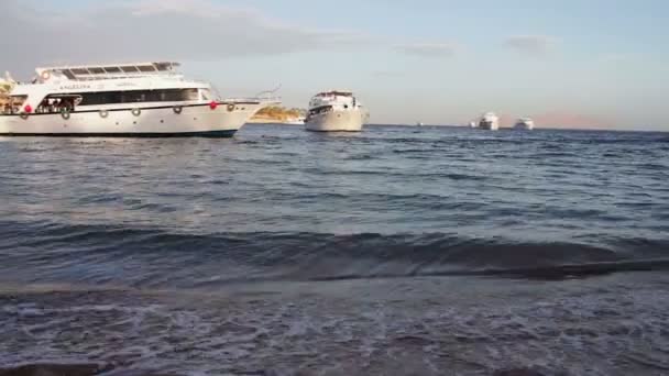 Sharm el-Sheikh, Sharks Bay, Egipt - 30 listopada 2016: wiele piękny biały jacht na brzegu — Wideo stockowe
