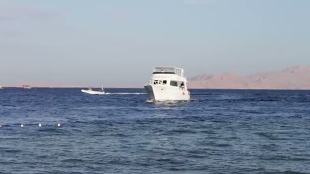Sharm el-Sheikh, Sharks Bay, Egito muitos belo iate branco — Vídeo de Stock