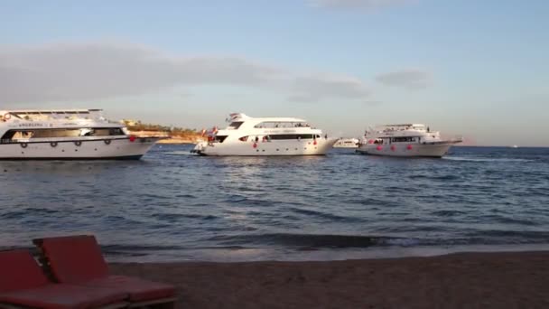 Шарм-эль-Шейх, Шаркс-Бей, Египет - 30 ноября 2016 г.: пляжные кресла на берегу моря, на фоне парусных яхт — стоковое видео