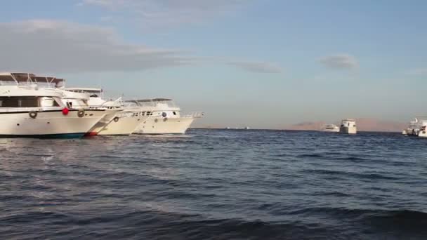Sharm el-Sheikh, Sharks Bay, Egypte - 30 November 2016: vele prachtige witte jacht op de oever — Stockvideo