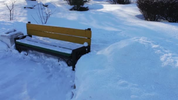 Schneebedeckter Gehweg im Park. — Stockvideo