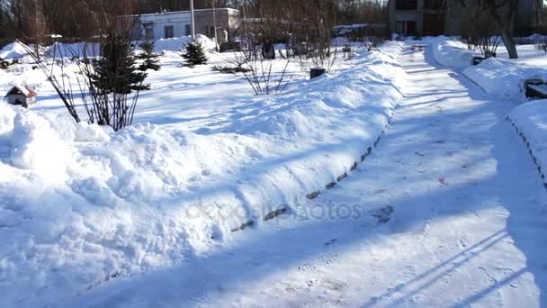 Snow täckt gångväg Park. — Stockvideo