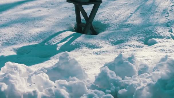 Alimentador para aves en el parque de invierno — Vídeos de Stock