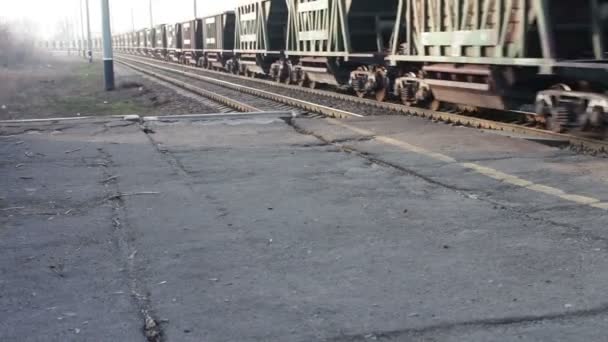 Paseos en tren de mercancías en el ferrocarril — Vídeos de Stock