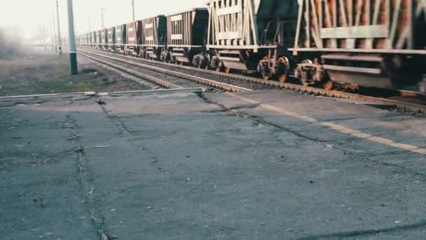 Freight train rides on the railroad — Stock Video