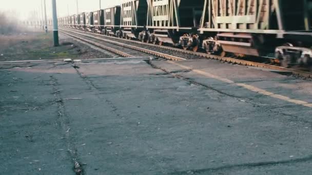 Freight train rides on the railroad — Stock Video
