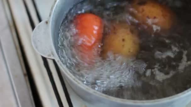Sartén hirviendo caliente con verduras zanahorias y patatas cocina — Vídeo de stock