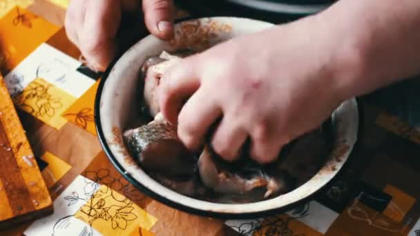 Homem mexe peixe fresco em uma tigela com especiarias — Vídeo de Stock