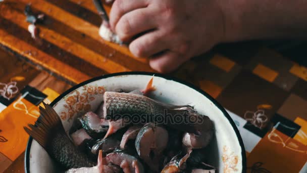 Detailní záběr rukou kuchaře čištění ryb — Stock video
