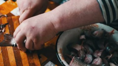 Balık Temizleme Kılavuzu