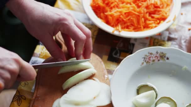 Chef cortando uma cebola com uma faca — Vídeo de Stock