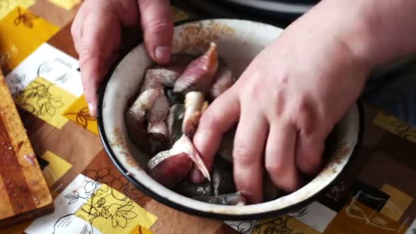 Člověk vyvolává čerstvé ryby v misce s kořením — Stock video