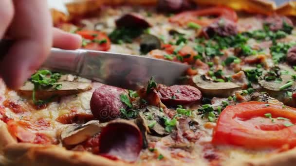 Pizza with hunting sausage, tomato, herbs and cheese close up view — Stock Video
