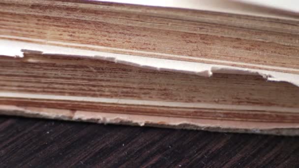 Перелистывание страниц старого крупного плана книги — стоковое видео