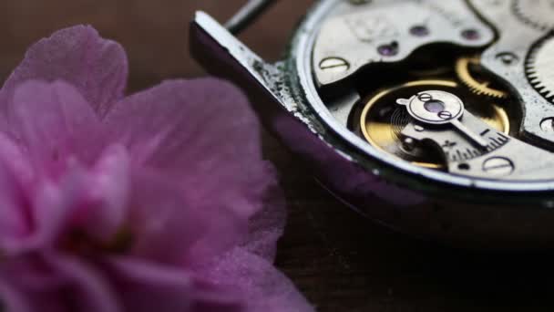 Mecanismo de cronómetro viejo junto a una flor violeta suavemente rosa — Vídeo de stock