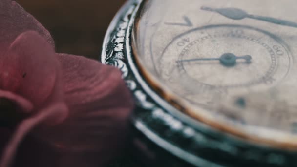 Primer plano del reloj de bolsillo Junto a una flor violeta suavemente rosa y el paso del tiempo — Vídeos de Stock