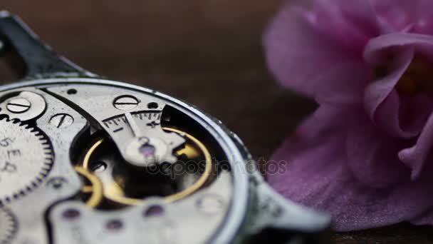 Mecanismo de cronómetro viejo junto a una flor violeta suavemente rosa — Vídeo de stock