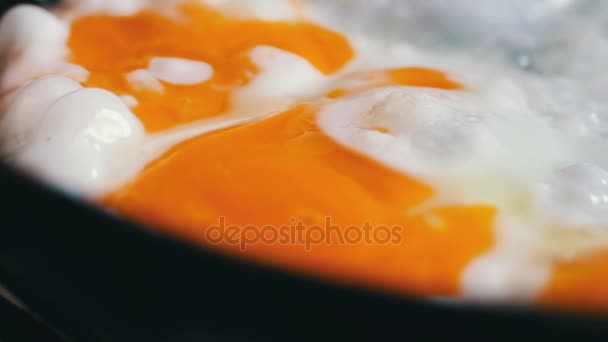 Telur segar lezat digoreng di panci — Stok Video
