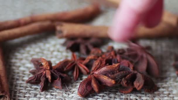 Cinnamon rods and star anise on the old cloth,A woman takes with her hands anise — Stock Video