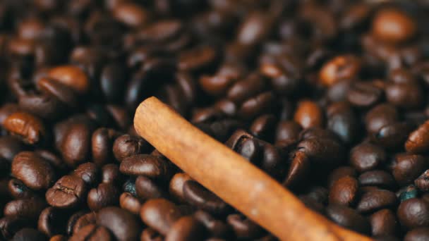 Nahaufnahme von Kaffeebohnen-Anis und Zimtstangen — Stockvideo