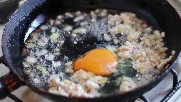 Kızarmış soğan, kıyma ve baharatları bir tavada omlet — Stok video