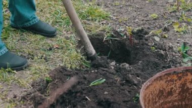 Adam yerdeki bir delik kazma kürek bahçede