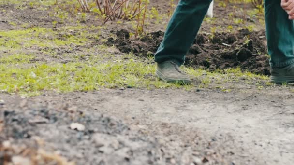 地面に穴を掘るシャベルで庭で男 — ストック動画