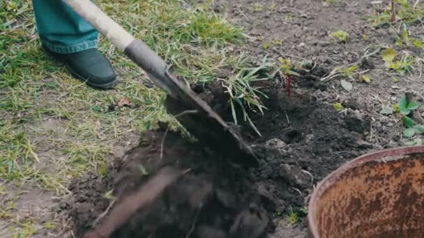 El hombre en el jardín con una pala cavando un agujero en el suelo — Vídeo de stock