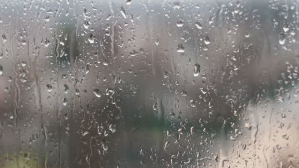 Gotas de lluvia en el vaso en la tarde de primavera — Vídeos de Stock