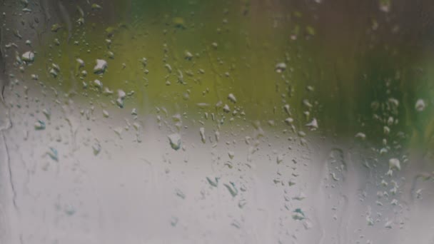 Дощ падає на склянку навесні вдень, на задньому плані проїжджають автомобілі — стокове відео