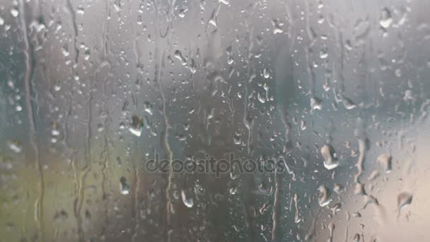 Весной на стекло падают капли дождя — стоковое видео