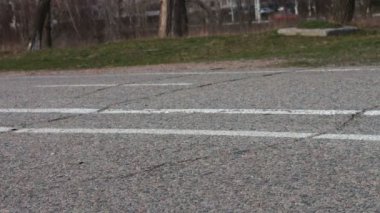 Kaldırımda bir kira kontratı walkwalking ayakları üzerinde beyaz bir küçük köpek ile Çift.